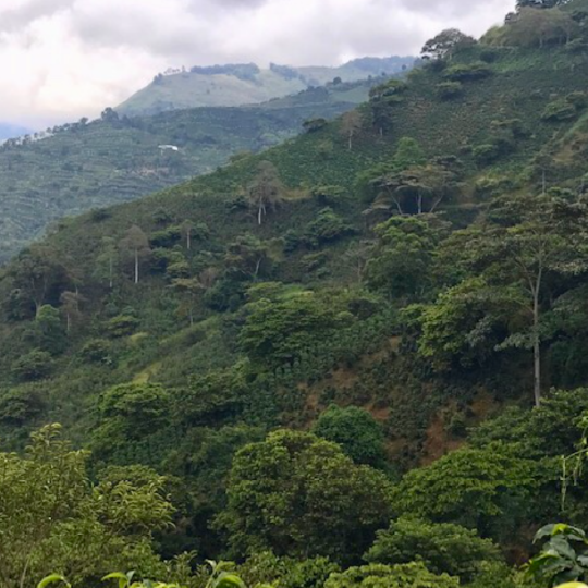 Costa Rica San Rafael Tarrazu