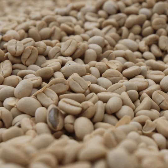 Ethiopia Rako - Washed