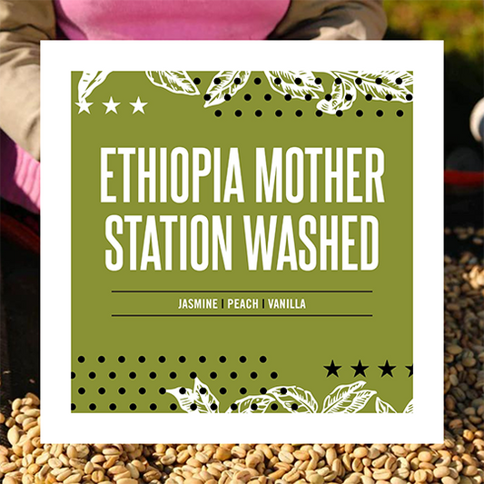 Ethiopia Mother Station - Washed