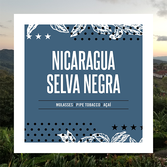 Nicaragua Selva Negra