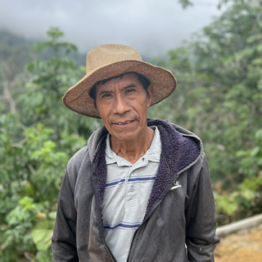 Mexico Sierra Azul