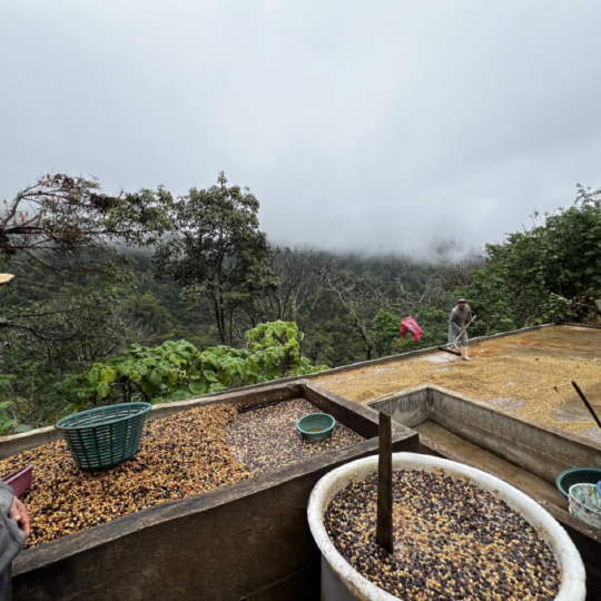 Mexico Sierra Azul