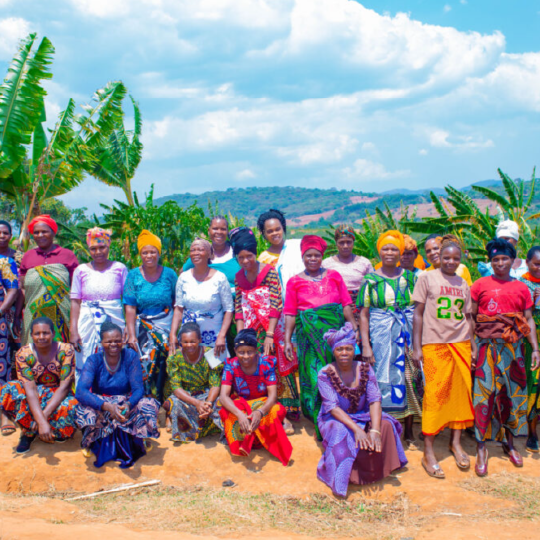 Tanzania Usawa Kahawa AA