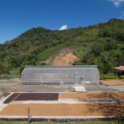 Costa Rica San Rafael Tarrazu