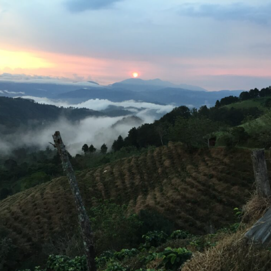 Costa Rica San Rafael Tarrazu