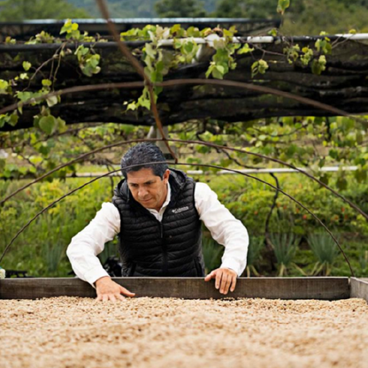 Colombia Magia del Campo