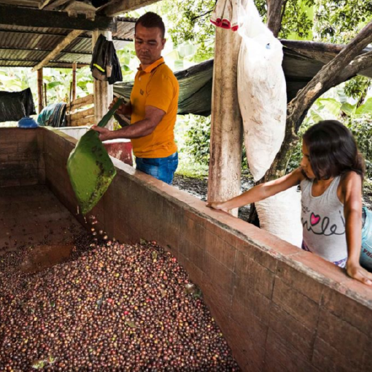 Colombia Magia del Campo