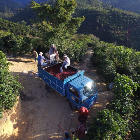 Costa Rica San Rafael Tarrazu