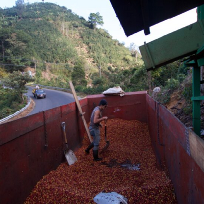 Costa Rica San Rafael Tarrazu