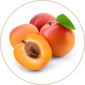 Apricot