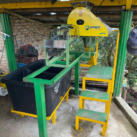 Colombia Andres Martinez Caturra Floral