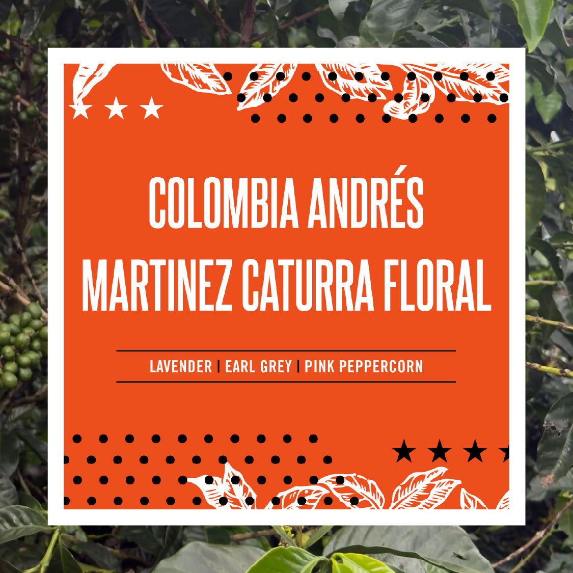 Colombia Andres Martinez Caturra Floral