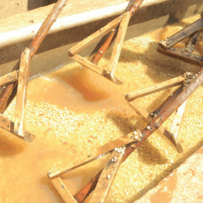 Ethiopia Rako - Washed