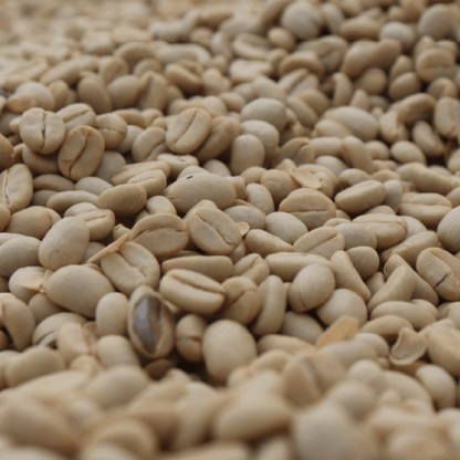 Ethiopia Rako - Washed