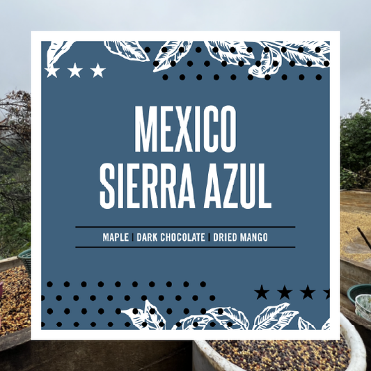 Mexico Sierra Azul