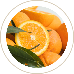 navel orange