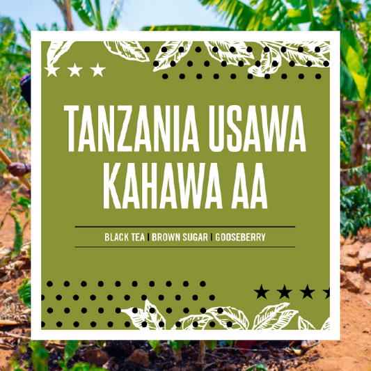 Tanzania Usawa Kahawa AA