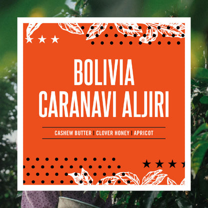 Bolivia Caranavi Aljiri