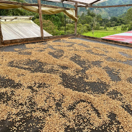 Colombia Gaitania