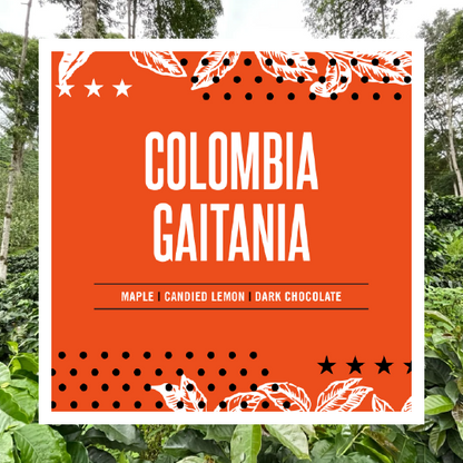 Colombia Gaitania