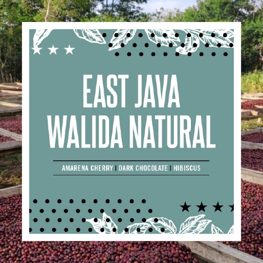 East Java Walida Natural