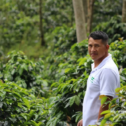 Colombia El Silencio Pink Bourbon