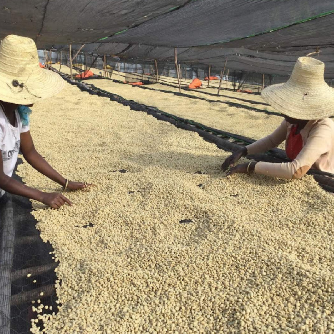 Ethiopia Anasora Site Natural