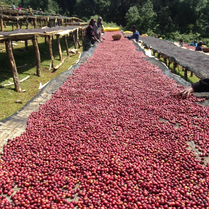 Ethiopia Anasora Site Natural