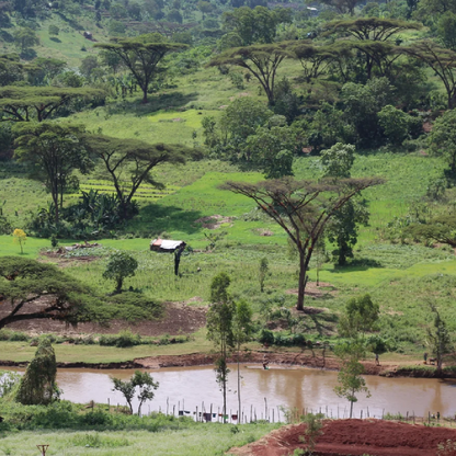 Ethiopia Anasora Site Natural