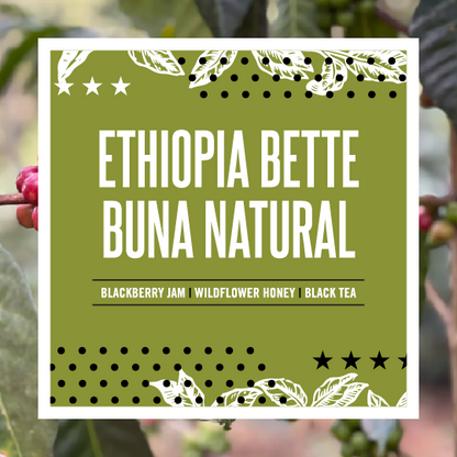 Ethiopia Bette Buna Natural