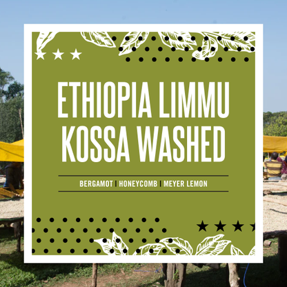 Ethiopia Limmu Kossa - Washed