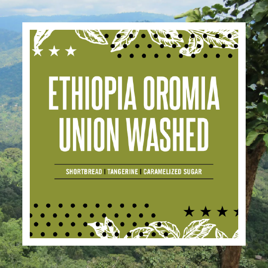 Ethiopia Oromia Union Washed