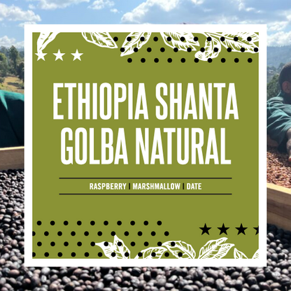 Ethiopia Shanta Golba Natural