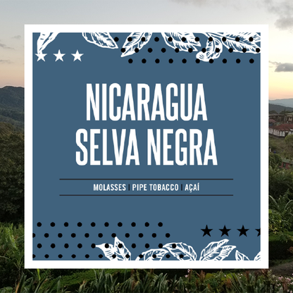 Nicaragua Selva Negra