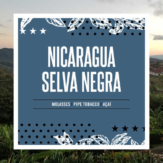 Nicaragua Selva Negra